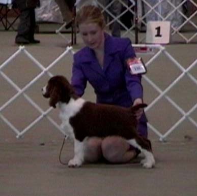 His first show.. 3 months old!!