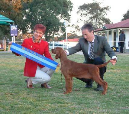 August 2006 - Baby in Show NSW Gundog Society Entry 215