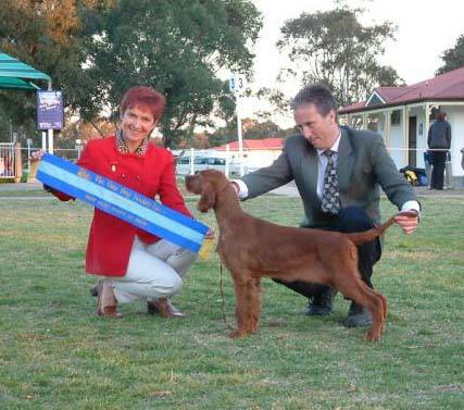 August 2006 - Baby in Show NSW Gundog Society Entry 215