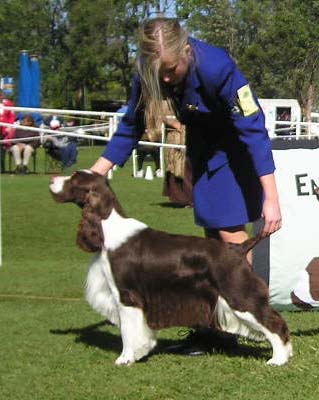 Res CC Dog ESSAQ 2005 under Steve Warry "Sabu"