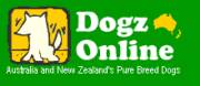 Go to DogzOnline