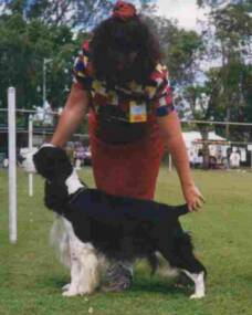 Best in Show ESSA of Qld 2000