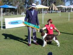 Felix & Toni - another Puppy In Show