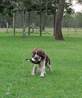 Floyd on retrieve