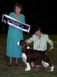 Best in Show Beaudesert KC Champ - 15th February 2003