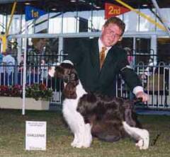 CC Bitch Sydney Royal Show 2000