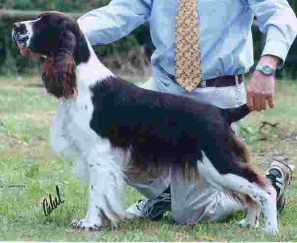 Raptor at 12 months with Robert Lauder