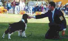 Raptor & handler Craig Hatzikiriakos