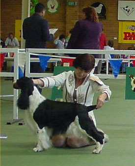 Intermediate in Show ESSCV November 2002