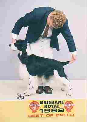 Best of Breed Brisbane Royal Show 1999