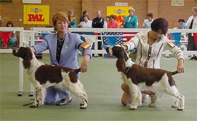 Wongan Sarah Vaughan & Ch Wongan Airs N Graces - 3 Nov 2002