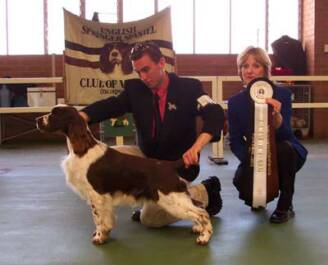 Best in Show ESSC of Victoria 2 November 2003