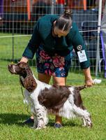 Grand Ch, CIB Ch, A20 Ch Fraelighte From Here To Eternity