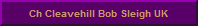 "Bob"