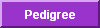 View Jag''s Pedigree