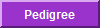 View Sin's Pedigree